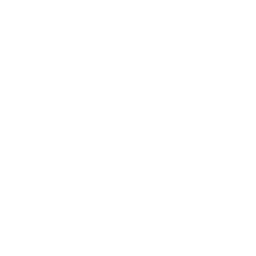 polarizados para carros a domicilio